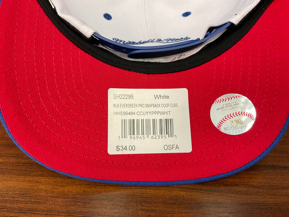 Mitchell and Ness MLB Evergreen Pro Snapback Coop Blue Jays